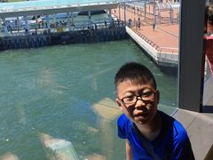 -香港海事博物馆
