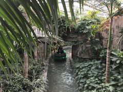 -南宫五洲植物乐园