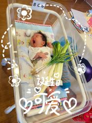 -海豚湾高端月子会所(黄浦店)