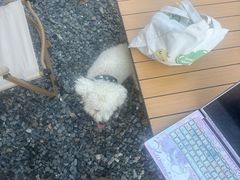 -小时光咖啡馆(开森度假森林店)