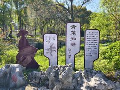 -葛仙湖公园