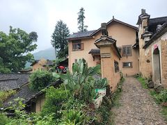 -杨家堂村