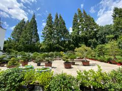 -龙华素斋(龙华路店)