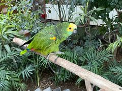 -南宫五洲植物乐园