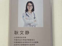 -美联众合动物医院·24h转诊中心