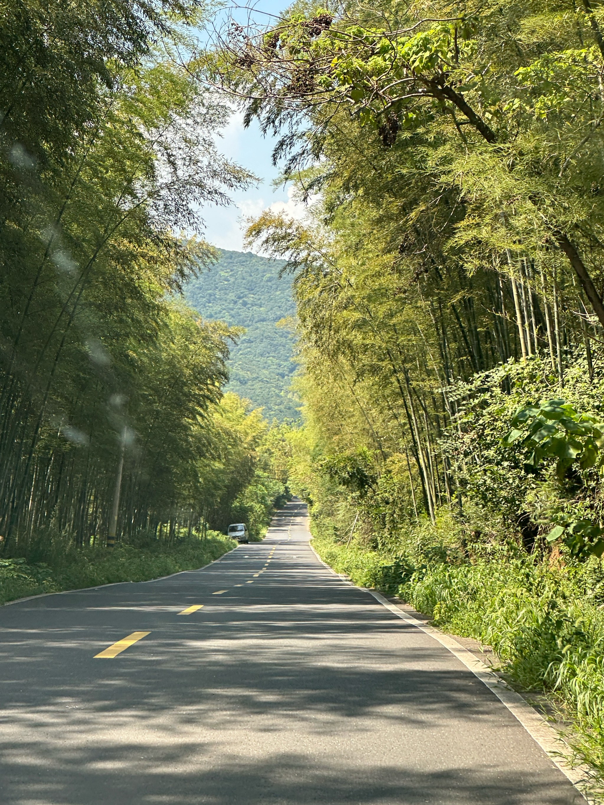 乡间小路唯美图片图片