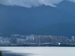 -野菌皇海景野生菌火锅(滨海大道店)