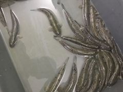 -钱山海鲜大排档