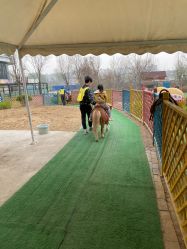 -萌宠亲子动物乐园(槐房万达店)