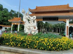 -深圳仙湖植物园