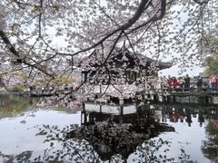 -印象西湖·最忆是杭州实景演出