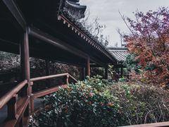 -杭州半山国家森林公园