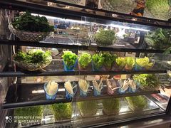 自助取餐区-芭菲盛宴·环球美食(北城国际店)