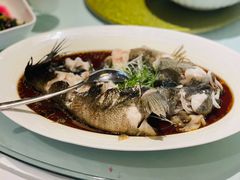 -洋洋中餐馆·SINCE 1997(信投店)