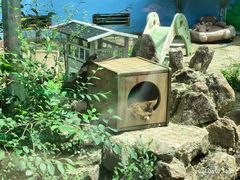 -青藏高原野生动物园