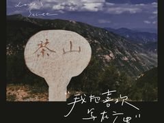 -蔚县茶山村