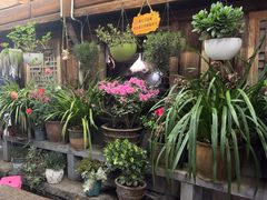 -龙姐私房菜(和顺古镇店)