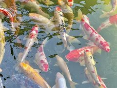 -镇江中国醋文化博物馆