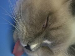 -谐和益家动物医院·免疫绝育·血液透析·宠保定点医院(高新伊藤分院)