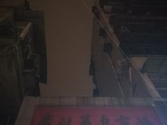 -武汉花鸟市场