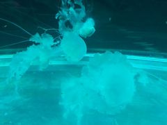 -大明湖海底世界