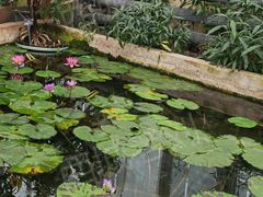 -国家植物园南园