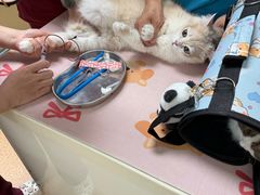 -宠颐生中康贝怡动物医院