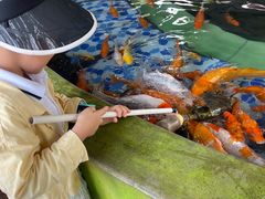-白沙门生态公园