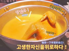 金牌花胶鸡煲-禄婶鸡煲·打边炉