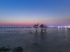 -宝安西湾红树林湿地公园