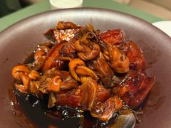 -老吉堂上海本帮菜(望京万象汇店)