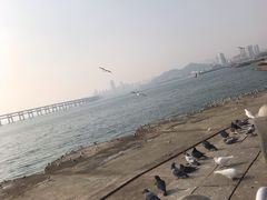 -星海广场