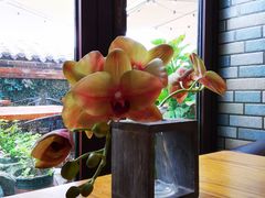 -IFIF 如果花園(宽厚里店)