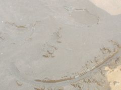 -宁波松兰山滨海旅游度假区