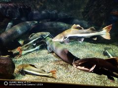 -太平洋海底世界