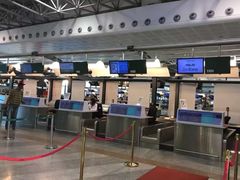 -米兰马尔彭萨国际机场