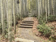 -黄公望隐居地