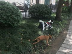 -上海静安宾馆