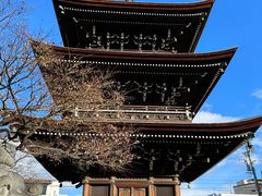 -医王山·飞騨国分寺