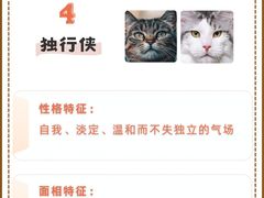 -爱侣宠医·鹦鹉专科·小型哺乳类·异宠专科(灵石路店)