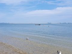 -棒棰岛宾馆景区