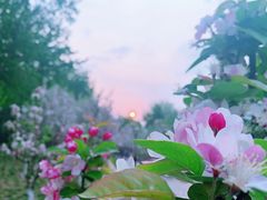 -海棠花溪(元大都城垣遗址公园)