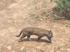 -石家庄市动物园