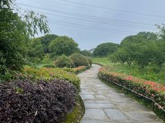 -韩湘水博园