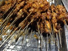 烤肉筋-老兰家传统烧烤炒菜泡馍(小南门店)