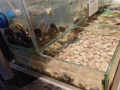 -钱小奴创意自助餐厅·原切谷饲安格斯畅吃(宁波慈溪爱琴海店)