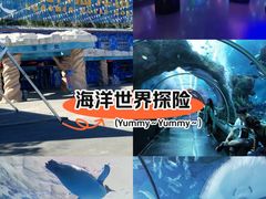 -洛阳龙门海洋馆