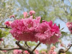 -元大都城垣遗址公园