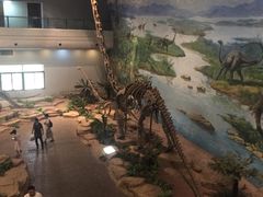 -自贡恐龙博物馆