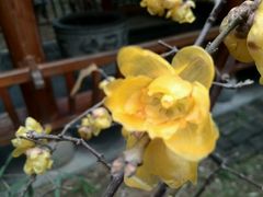 -不倒翁·徽天下名菜楼(马鞍山路店)